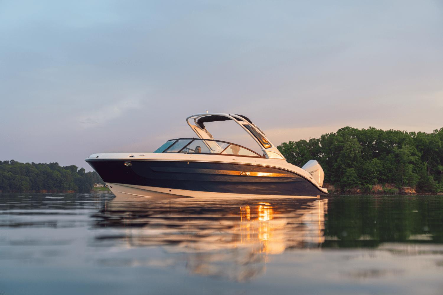 Sea Ray SDX 250
