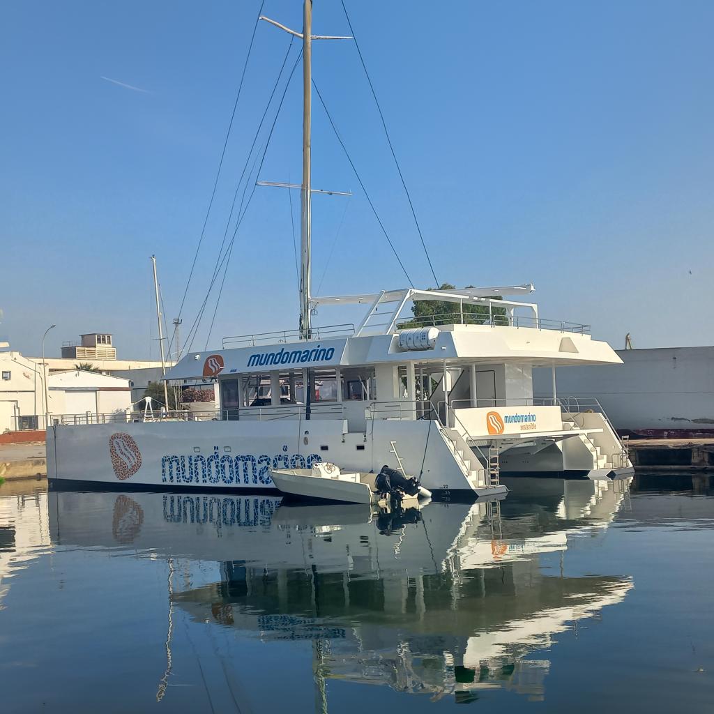 2025 Squalt Marine CK 80