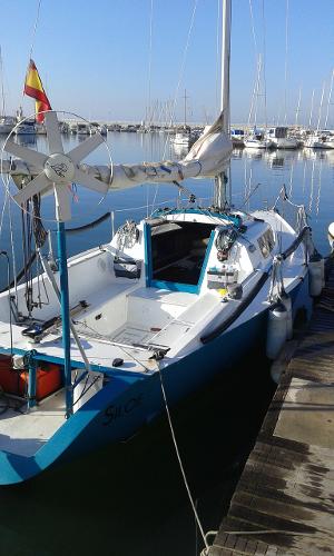1980 Taylor Somo 20