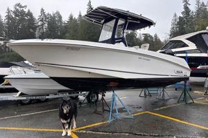 Boston Whaler 220 Outrage 2008 Boston Whaler 220 Outrage boat on stands, with a dog nearby, in a marina setting.