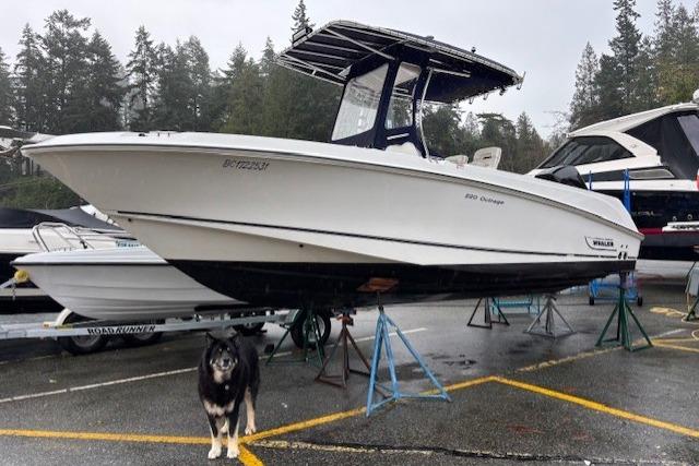 Boston Whaler 220 Outrage 2008 Boston Whaler 220 Outrage boat on stands, with a dog nearby, in a marina setting.