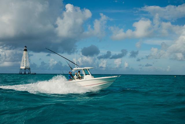 2025 Boston Whaler 250 Outrage