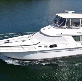 1998 Sea Ray 550 Sedan Bridge