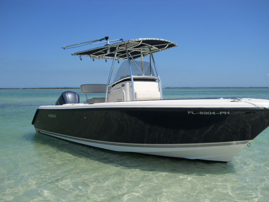 2010 Pursuit C230