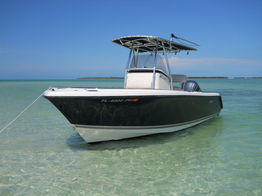 2010 Pursuit C230