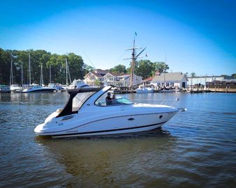 2016 Rinker 290 Express