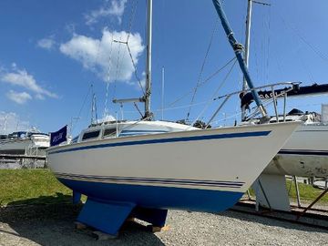 1990 Jaguar 24
