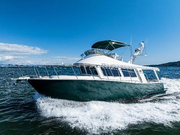 2009 Coastal Craft 400 IPS