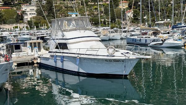 Bertram 46