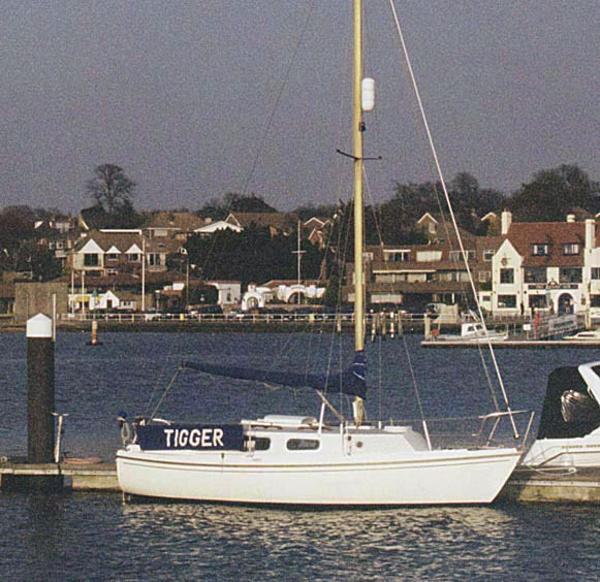 Westerly Tiger