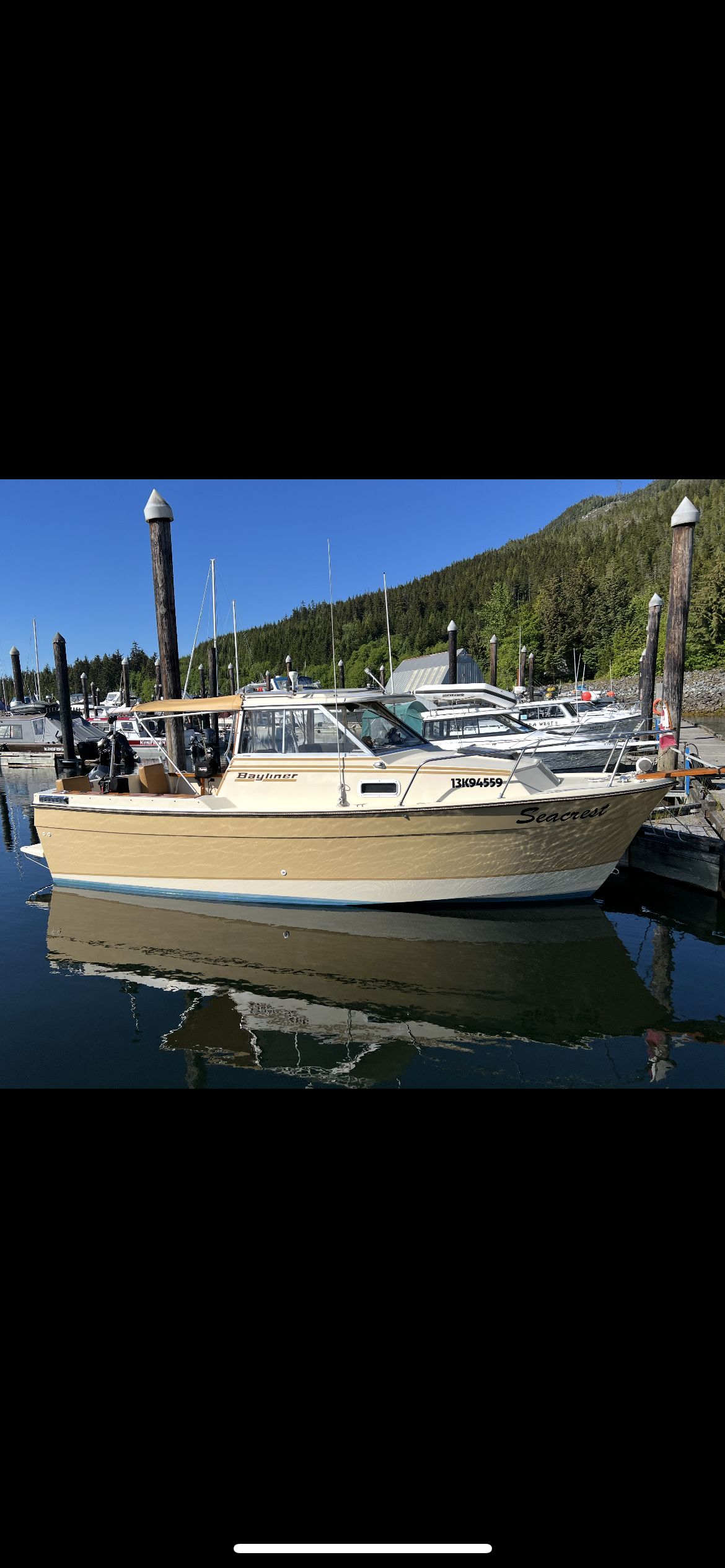 1981 Bayliner Trophy - Fisherman's Special