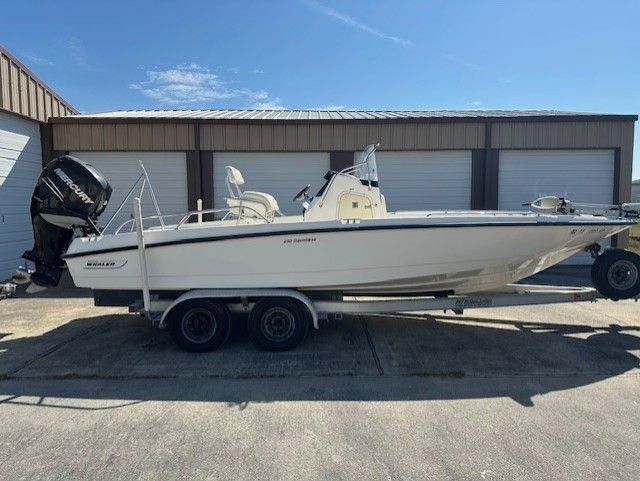 2008 Boston Whaler 230 Dauntless