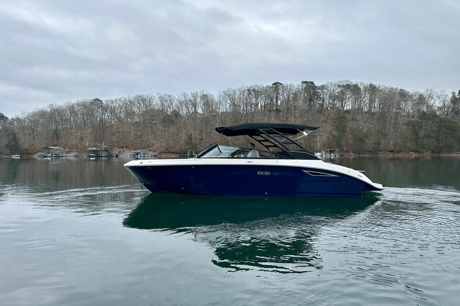 Sea Ray SDX 250