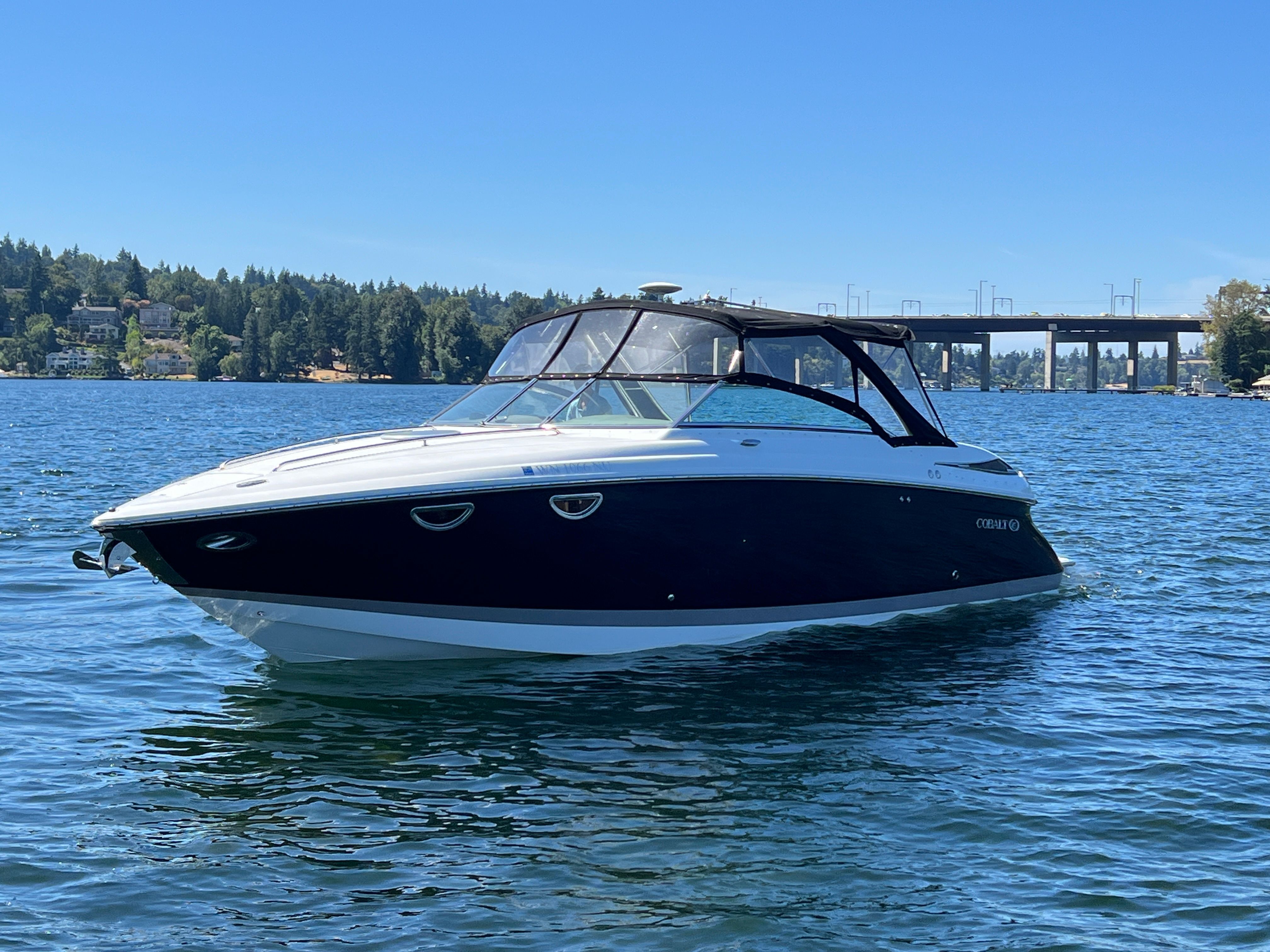 Cobalt 323
