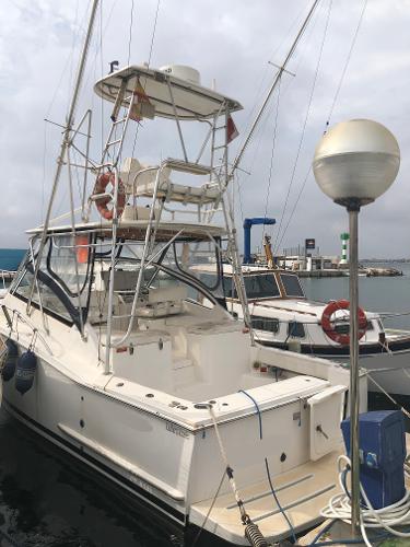 Luhrs 30 Open