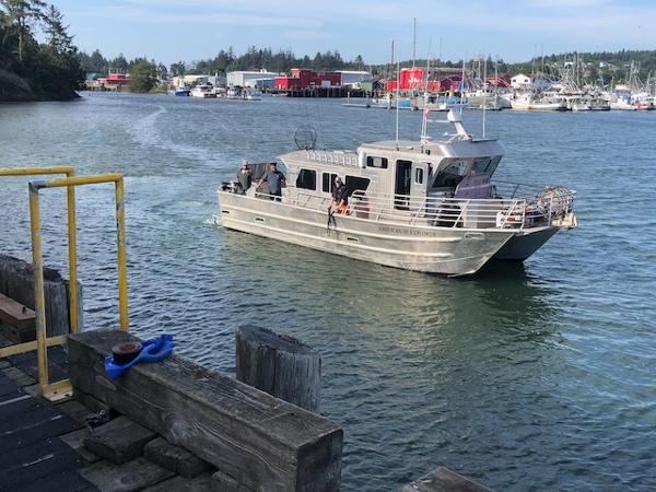 Armstrong Marine Catamaran