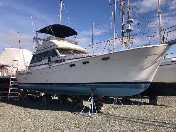 Bayliner 3818 Motoryacht