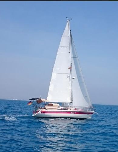 Sirius boats for sale - boats.com