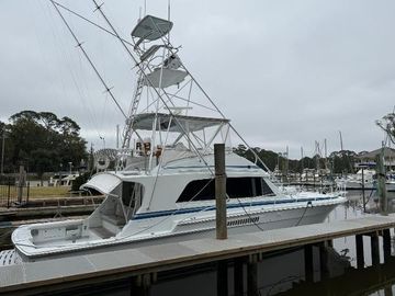 1988 Bertram convertible C-18's