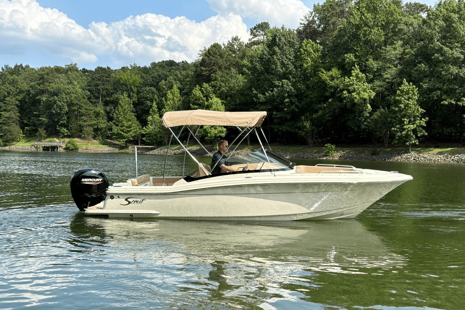 Scout 215 Dorado