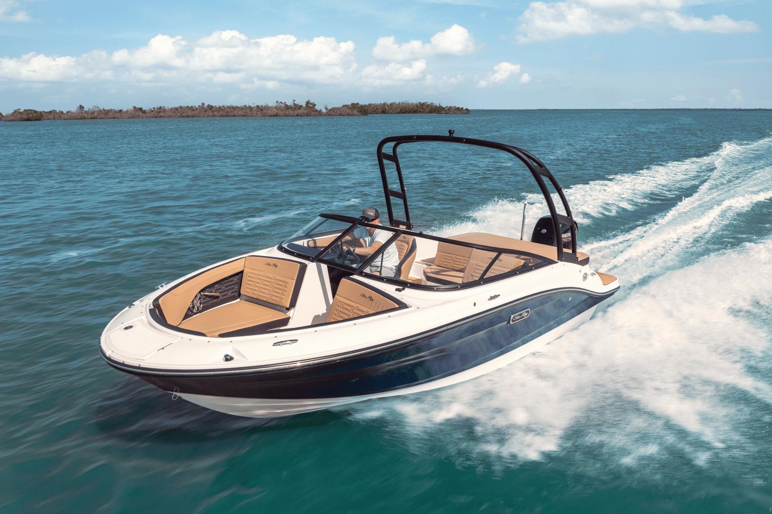 Sea Ray SPX 190 Outboard