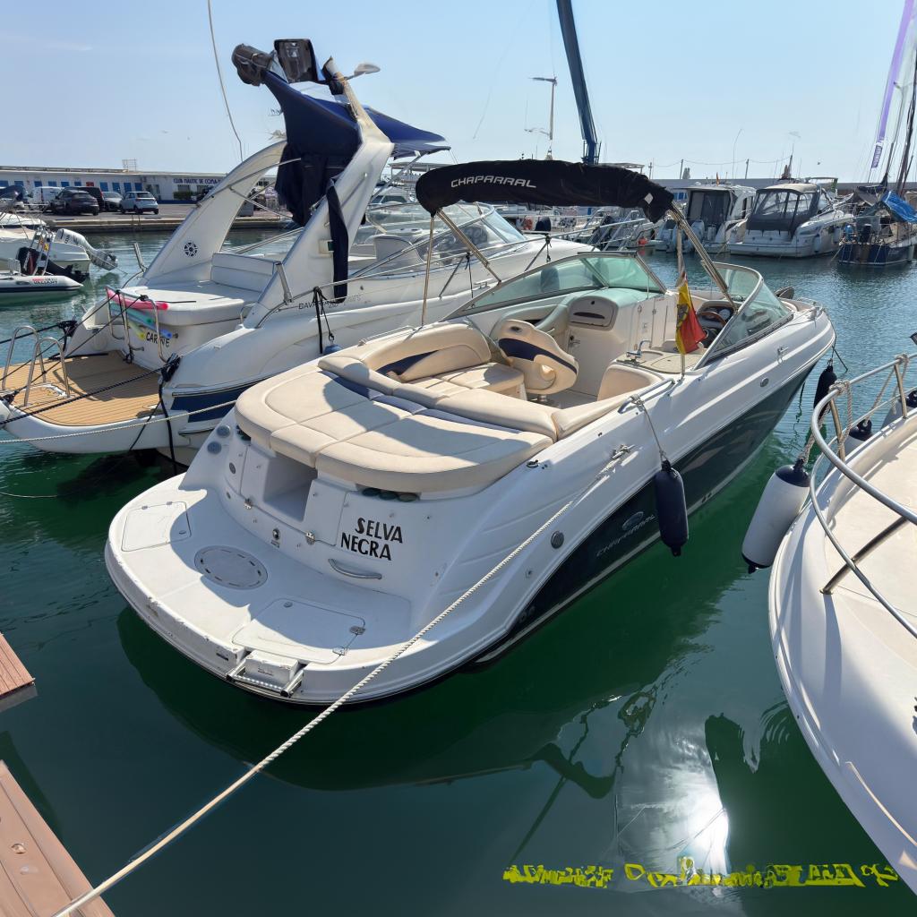 2005 Chaparral 256 SSi