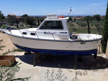 1991 Orion Coral