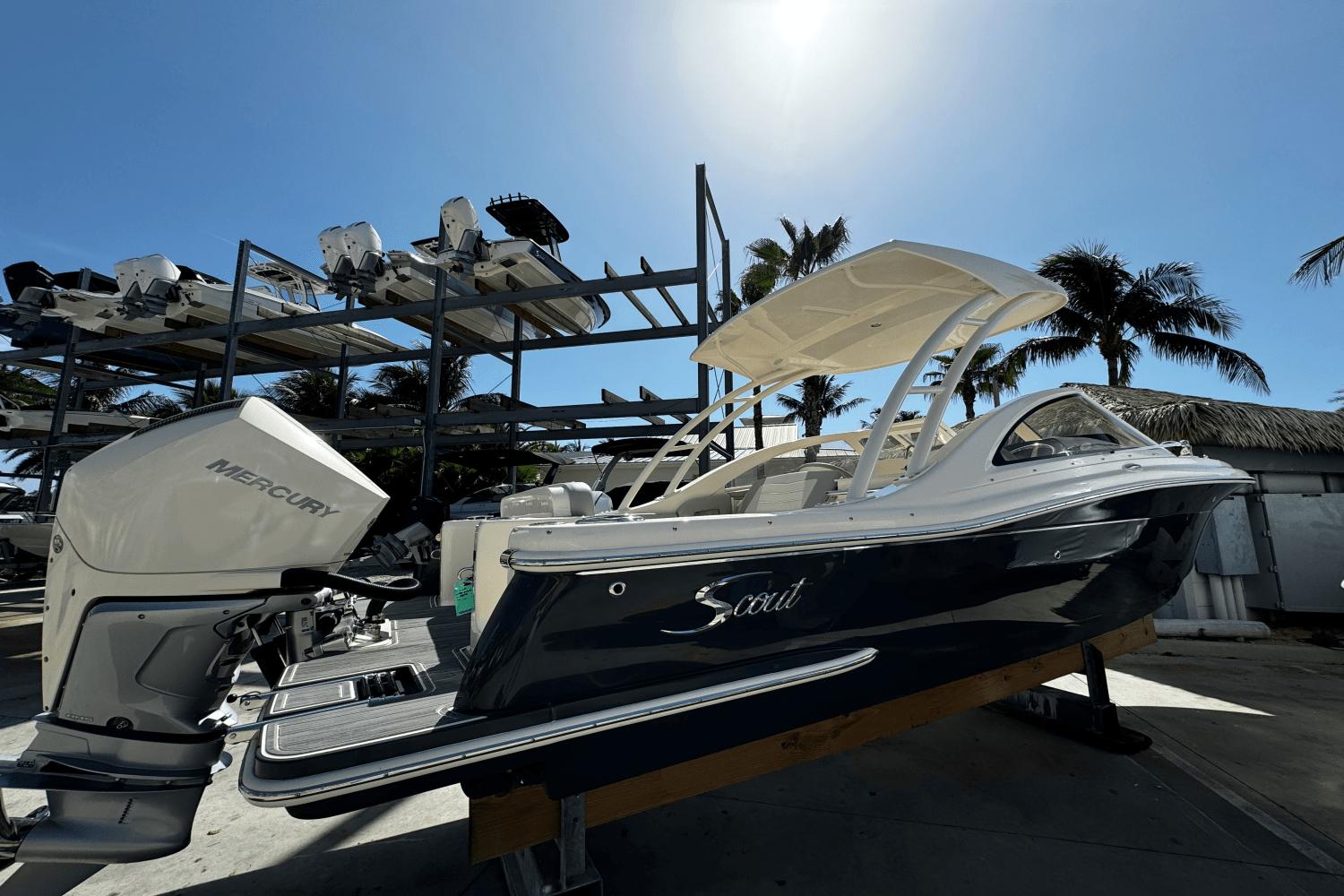 Scout 240 Dorado