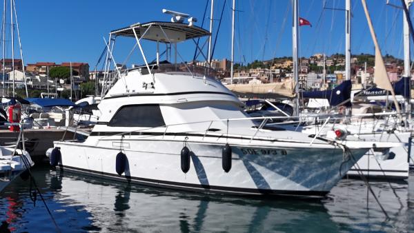 Bertram 37 Convertible