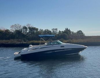 2013 Sea Ray 260 Sundeck