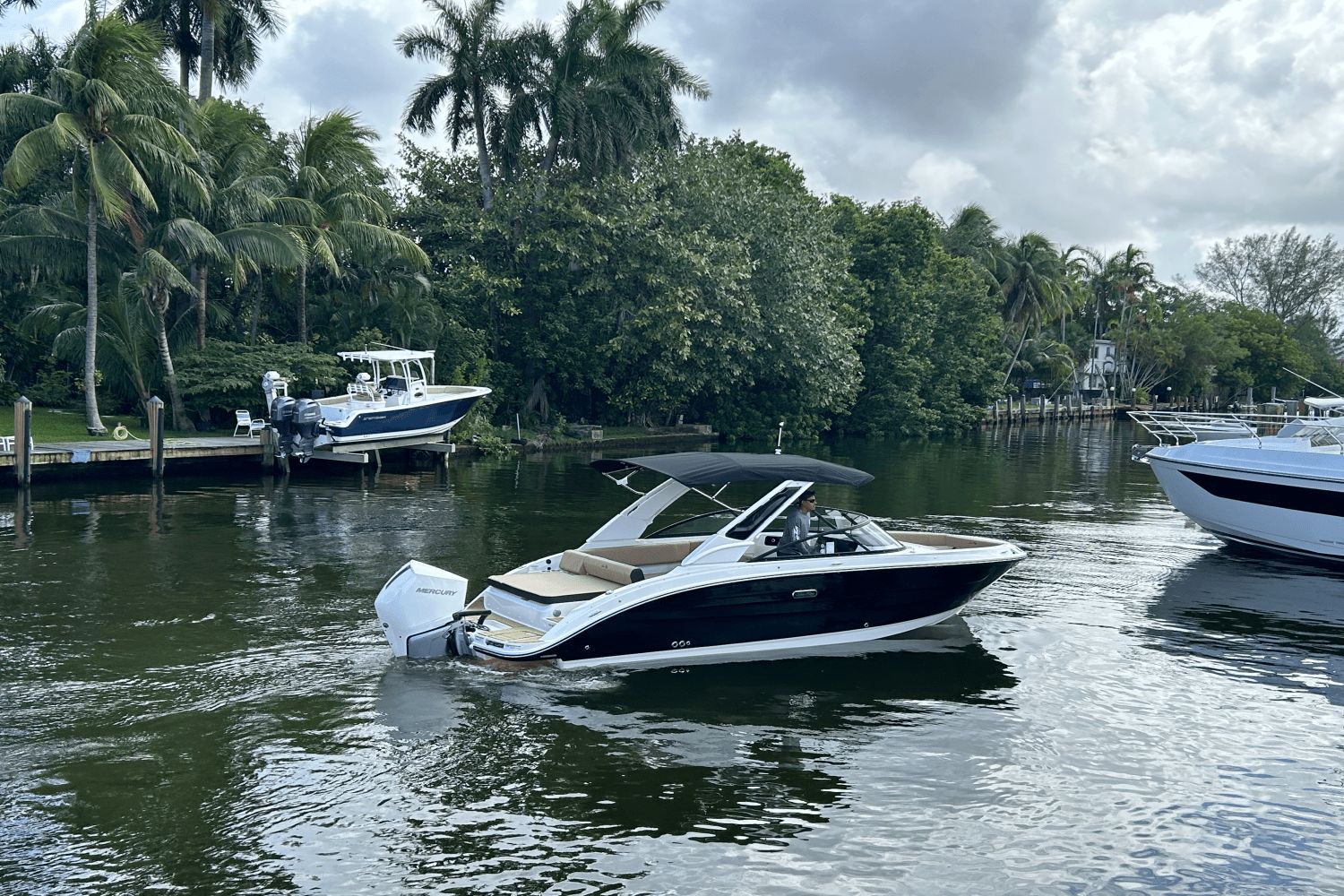 Sea Ray SDX 250 Outboard