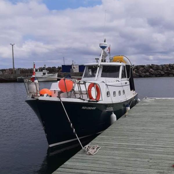 Hyundai Roughwater 29