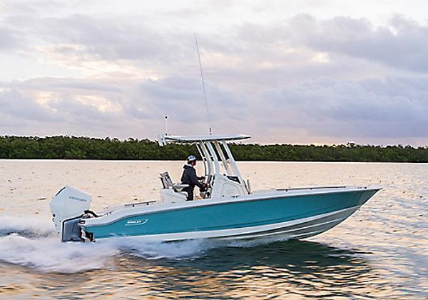 boston whaler 250 dauntless