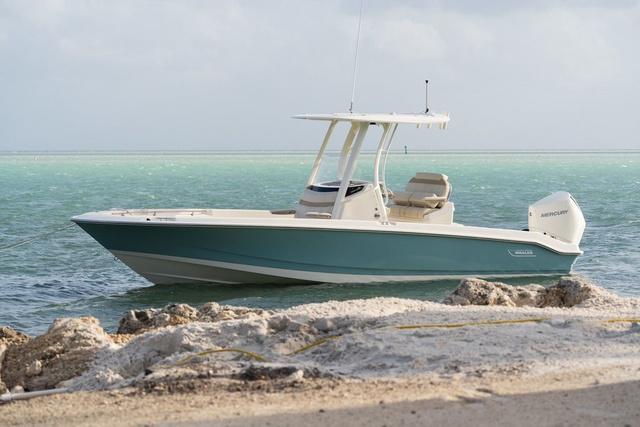 2024 Boston Whaler 250 Dauntless