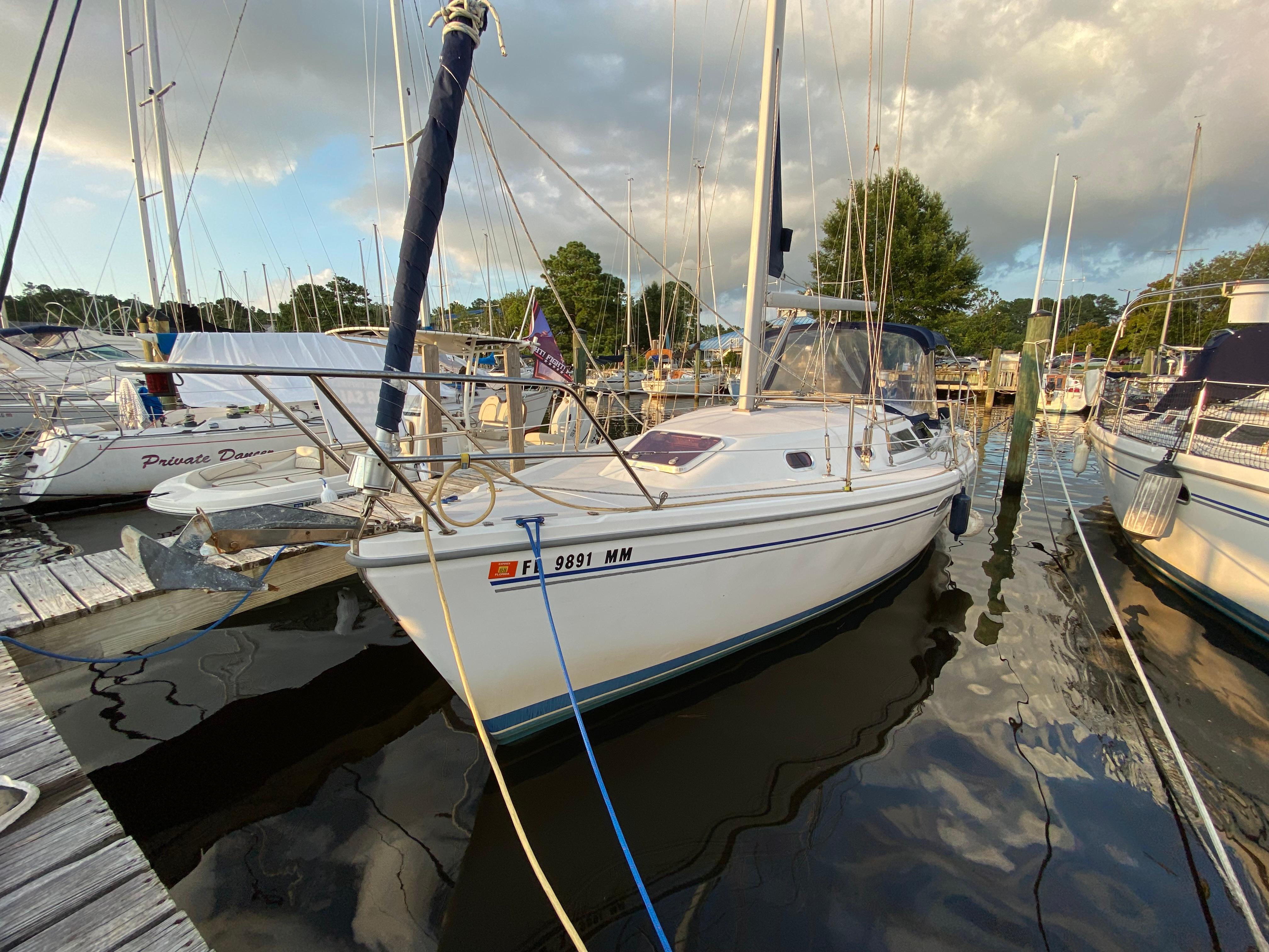 Catalina 310