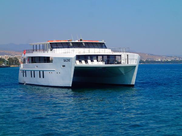 2015 Custom Catamaran