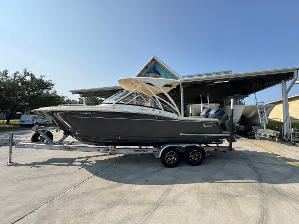 2019 Scout 255 Dorado