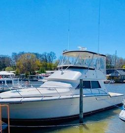 1995 Tiara Yachts 4300 Convertible
