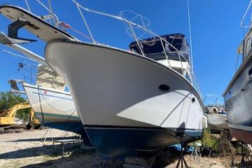 1987 President 36