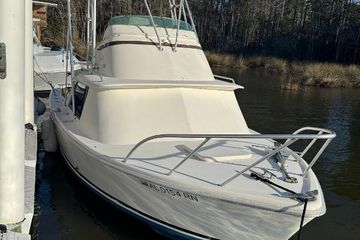 1974 Bertram 31 Flybridge Cruiser