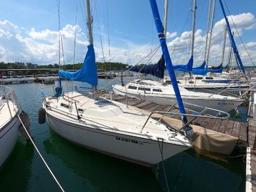 1984 CAL 24