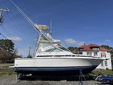 1995 Bertram 30 Moppie