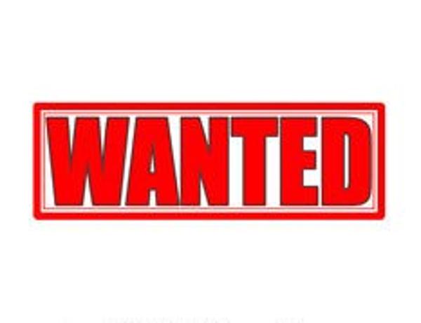 2010 Ribeye Avon cobra zodiac brig bombard ballistic Ribeye wanted