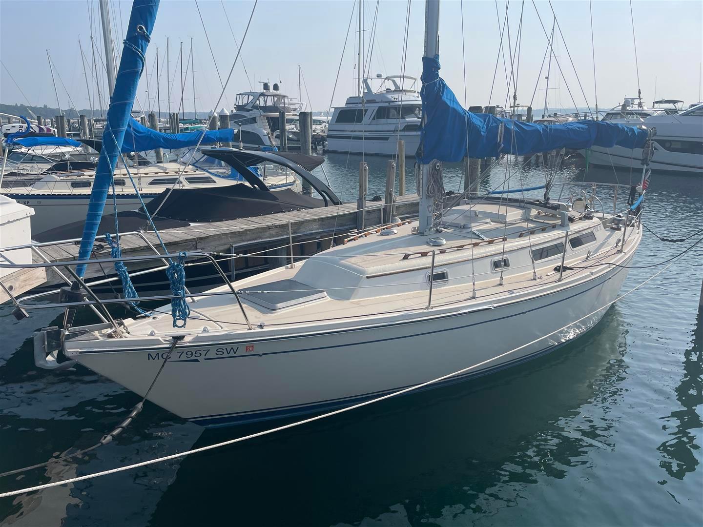 1983 CAL 31