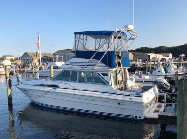Sea Ray 340 Sedan Bridge