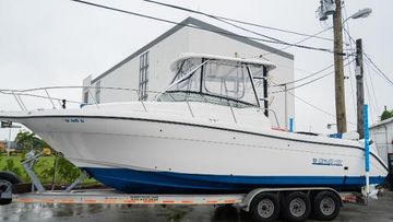 2002 Century 3200 Walk-Around