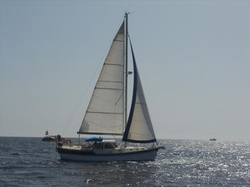 1998 Custom Eigembau