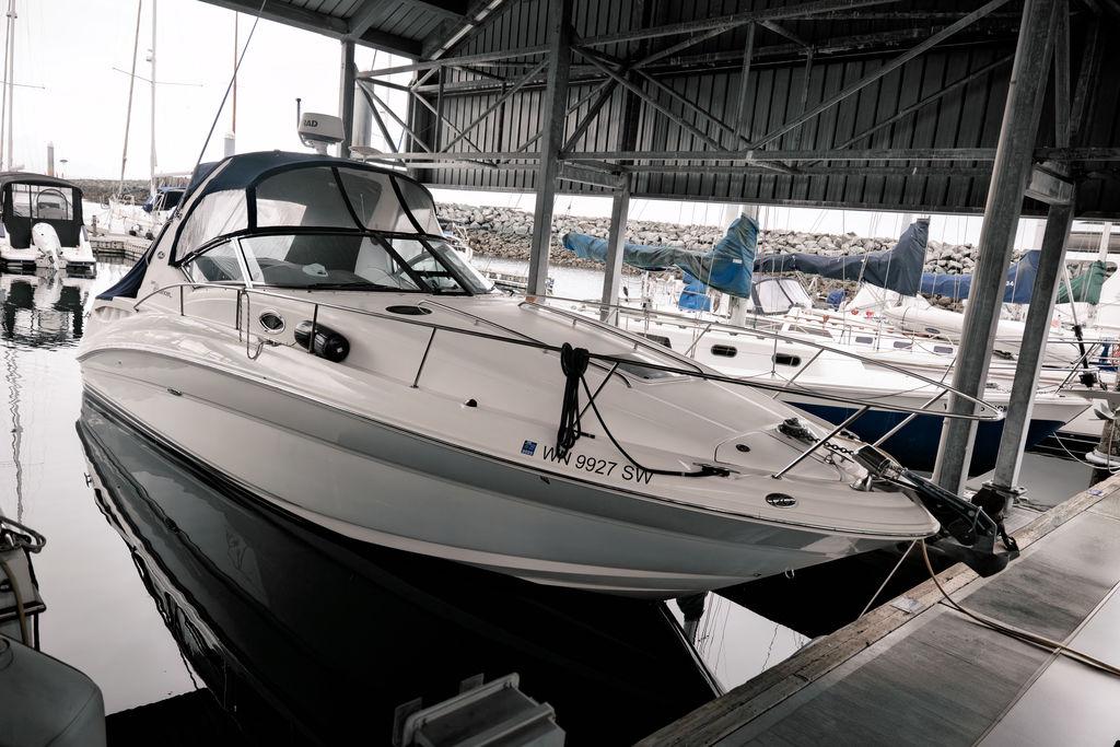 Sea Ray Sundancer 320