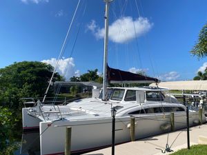 Maine Cat Maine Cat 41