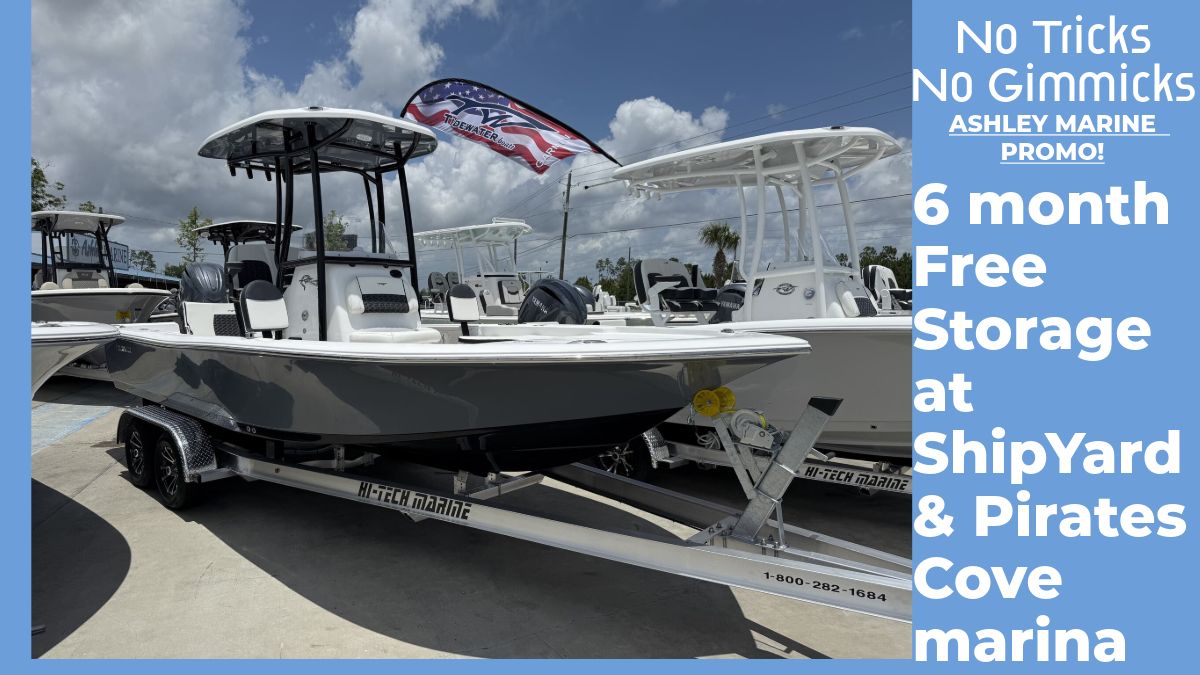 Tidewater 2210 Carolina Bay 2025 Tidewater 2210 Carolina Bay boat with promo for free storage at marina.